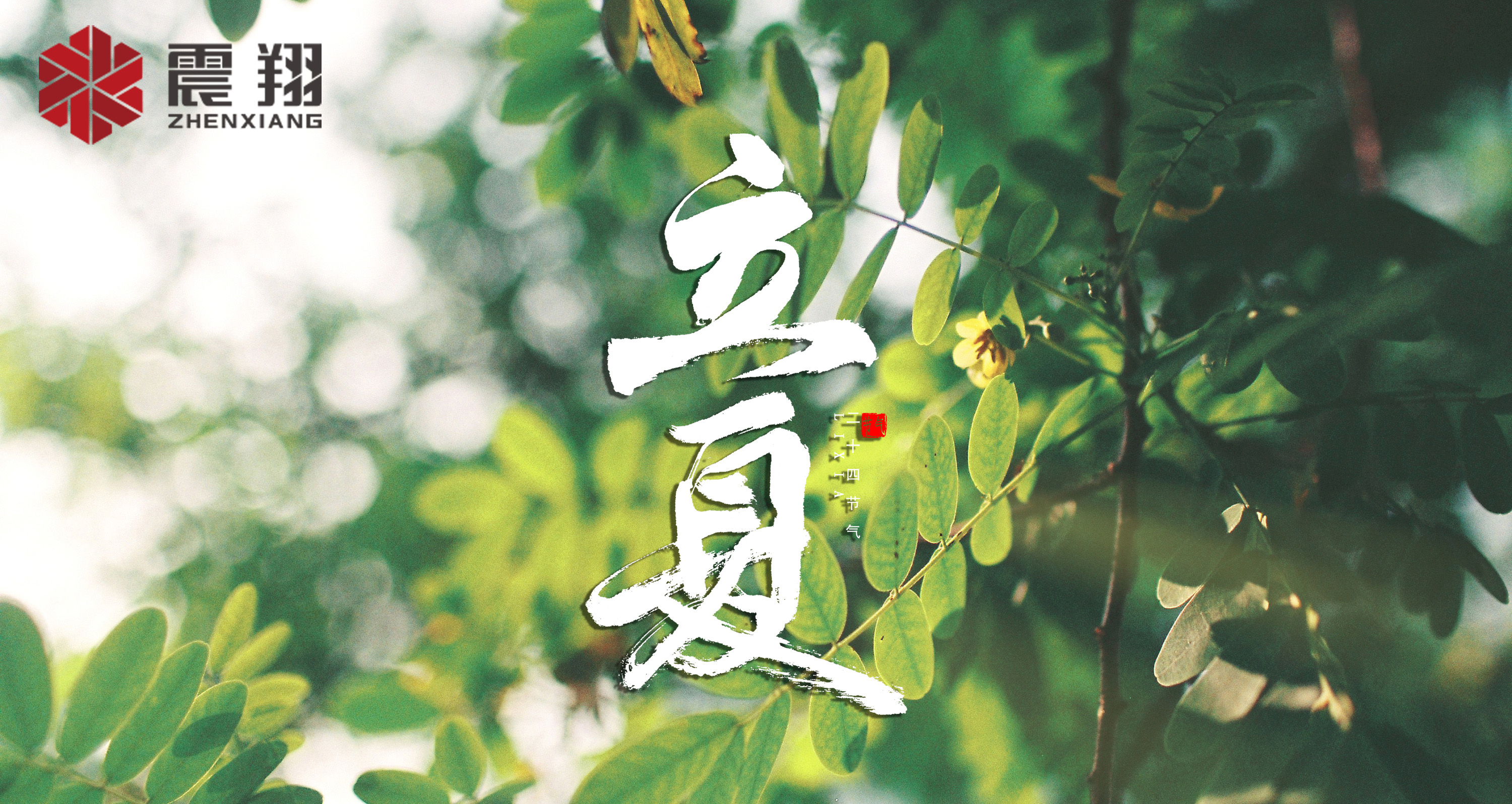 【立夏】春去春來不曾留意，夏日當歸，撲面而來
