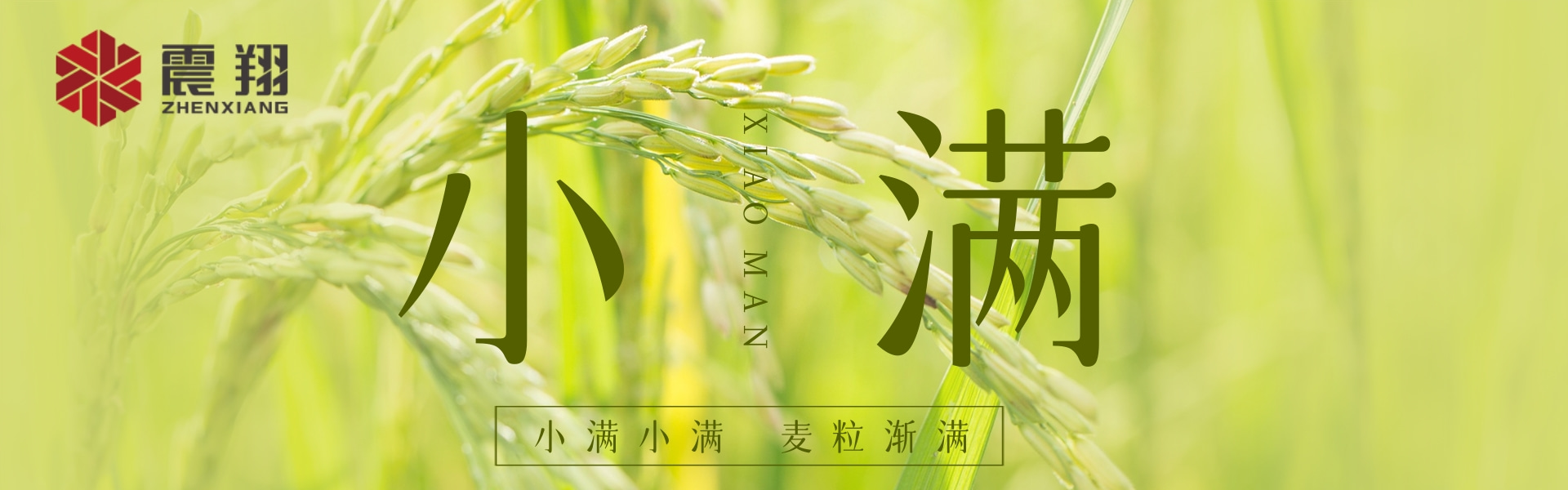 小滿|???????小滿小滿，江河漸滿。