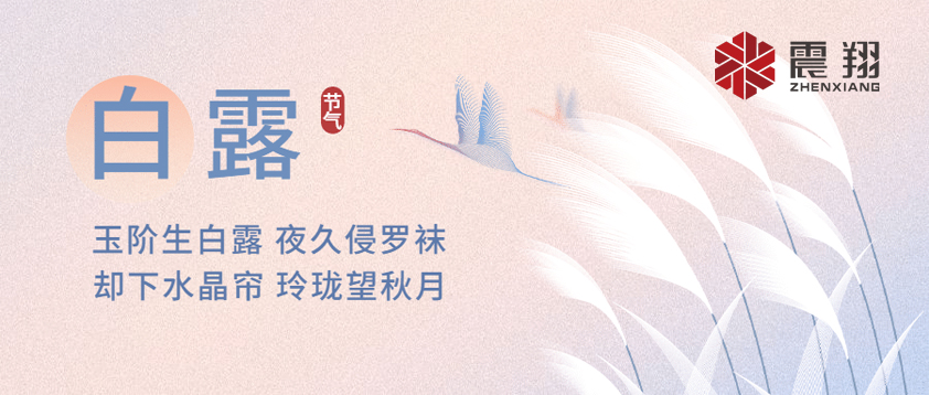 白露|露已凝，夜微涼